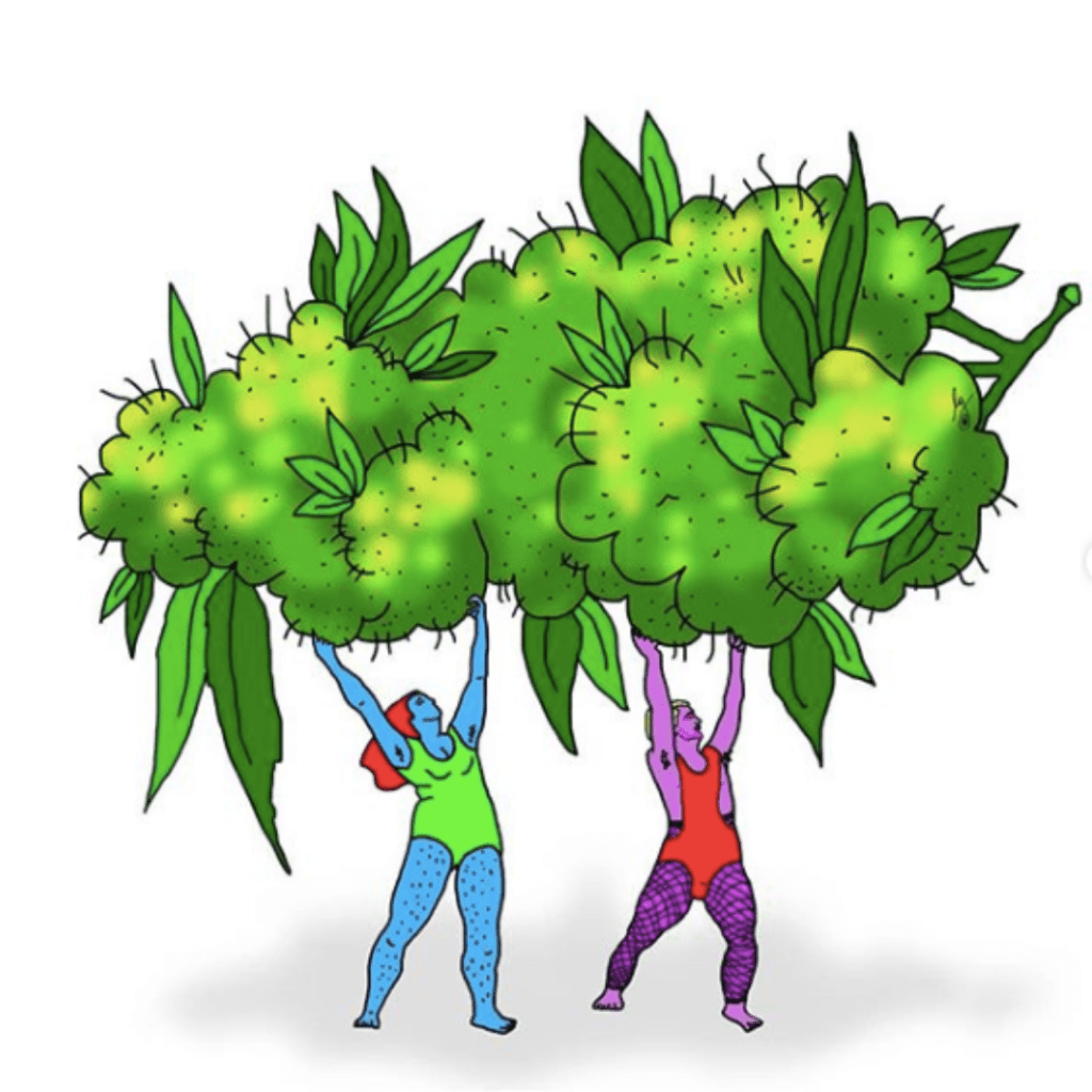 Amiga, date cuenta: Son las&nbsp;4:20