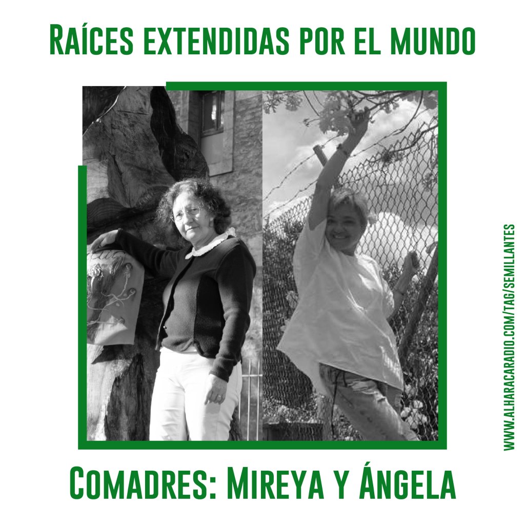 Raíces extendidas por el&nbsp;mundo