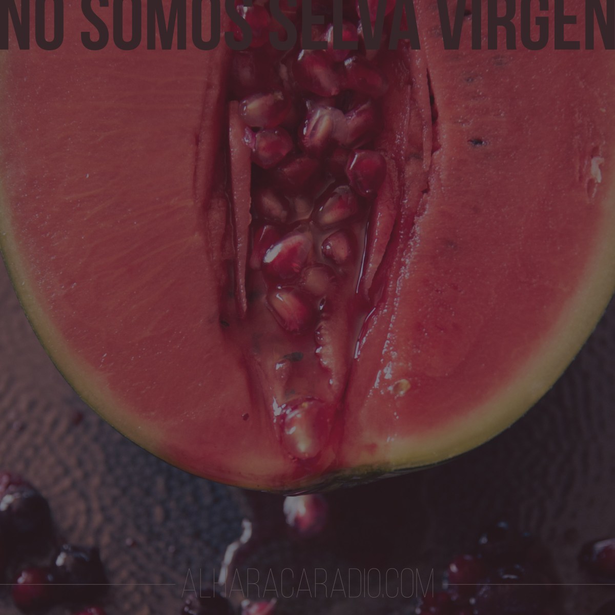 Mi primera cita con el&nbsp;VPH